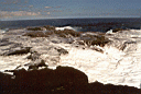 Taga Blowholes