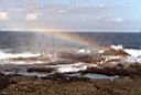 Taga Blowholes