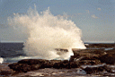 Taga Blowholes