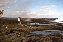 arco iris
