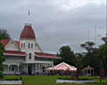 tonga4005.jpg