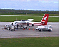 tonga4007.jpg