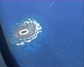 tonga4009.jpg