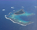 tonga4010.jpg